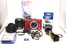 Panasonic DMC-GF1 Mirrorless