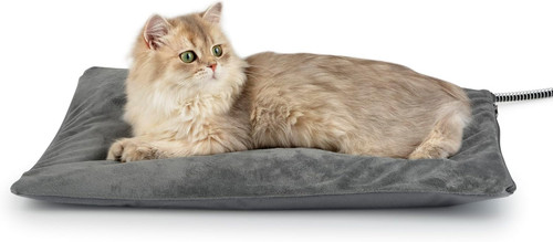 Outdoor heated cat - heated,