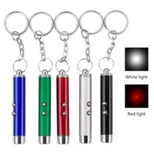 2-in-1 Laser/Lazer Pointer
