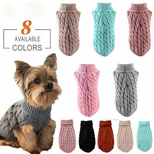 Warm chihuahua dog - warm,