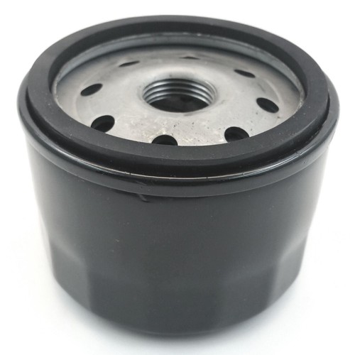 Oil filter for ruggerini - oil,