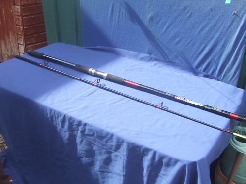 Fishing rod stiffi 12ft - rod,