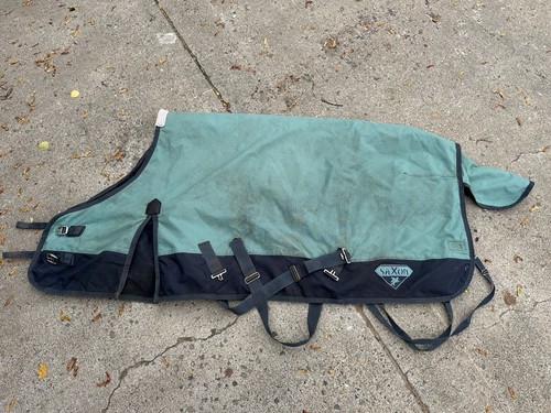 Horse tack saxon - tack,