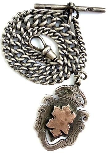 Antique silver albert watch - antique,