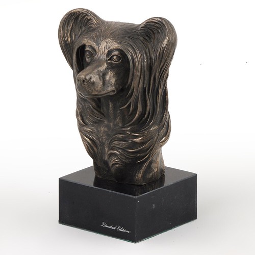 Chinese crested dog head - crested, on