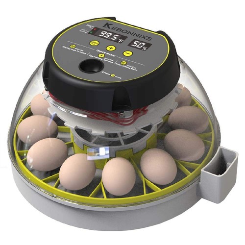 Plug kebonnixs egg - kebonnixs,