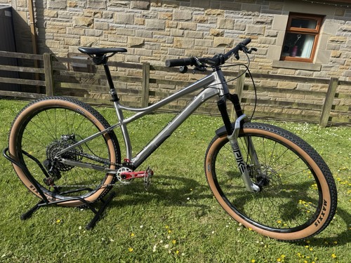 Large banshee paradox 29er - v3,