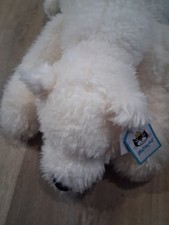 Jellycat Nozzy Polar Bear