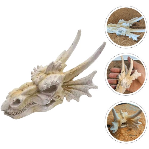 Fish tank resin dragon - tank, skull