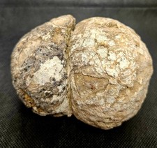 4290ct Massive  Unopened Natural Australian Huge Geode Gamble Thunderegg Mt Mays