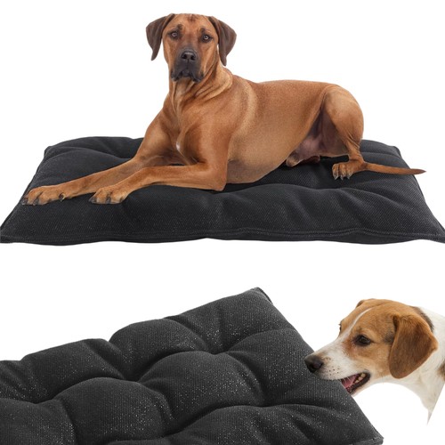 Durable indestructible dog bed - dog,