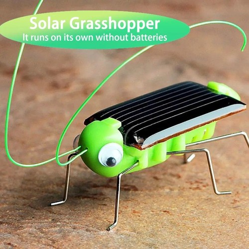 Solar grasshopper toy - grasshopper,