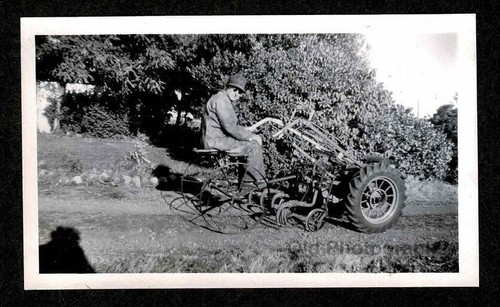 Old school garden - old, garden/farm