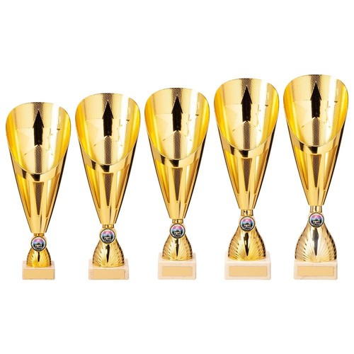 Presentation cup trophy gold - presentation,