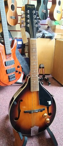 Tonewood 10e electro - am-10e,