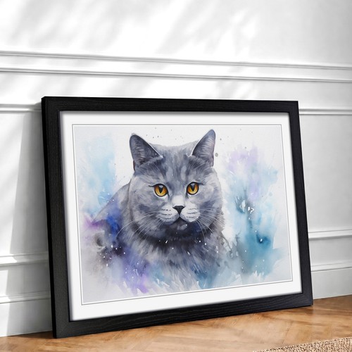 British shorthair cat - british,