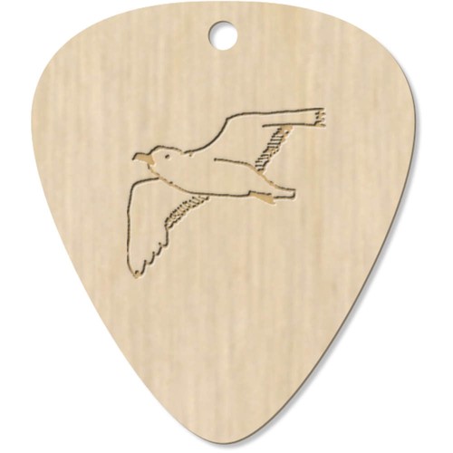 Seagull wooden guitar - 'seagull',