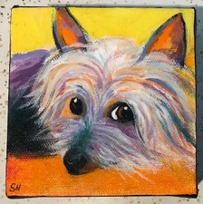 Original SILKY TERRIER DOG