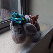 Walt Disney World Pirate