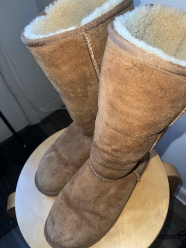 Ugg classic tall 5815 - ugg,