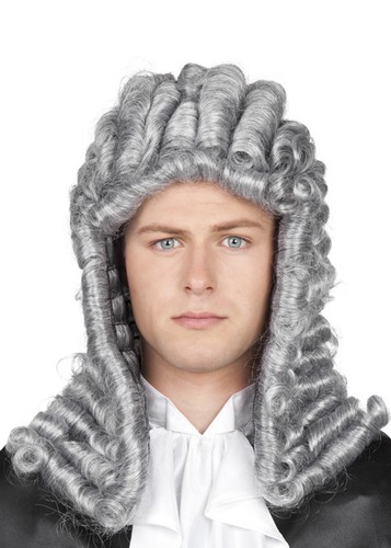 Adult grey fancy dress - dress, judge