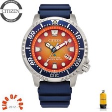 CITIZEN BN0169-03X Promaster