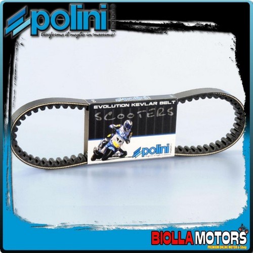 248 031 polini variator - 248.031,