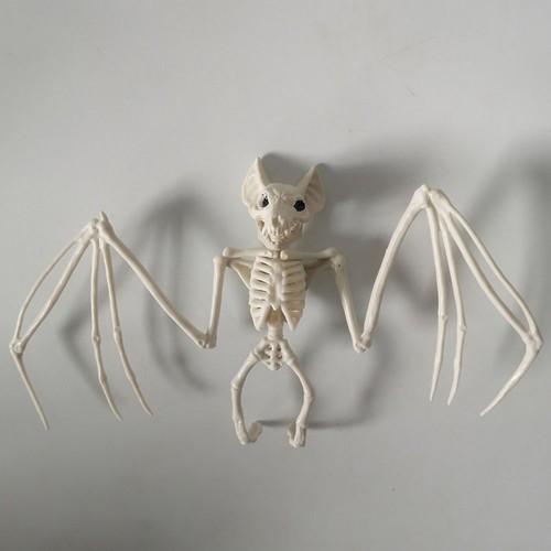 Halloween bat skeleton - halloween,