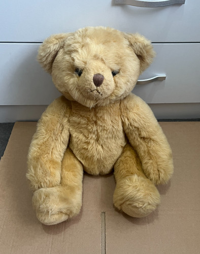 Bear factory beige teddy - teddy,