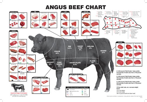 Cuts beef sign printed - beef,