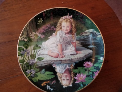 Rare vintage danbury mint - rare,