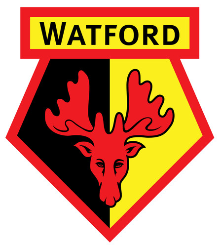Watford football club - club, pick