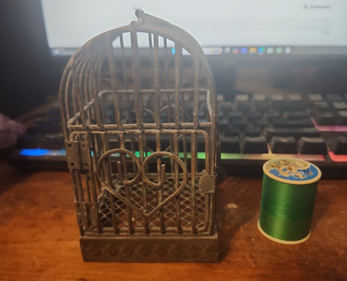 Small decorative bird cage - bird,