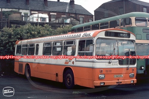 Bus photo selnec ex60 - bus,