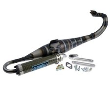 Exhaust System Giannelli