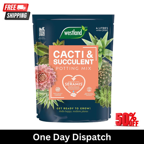Westland cacti succulent - cacti,