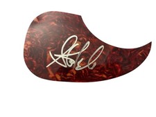 Steven Tyler Hand Signed