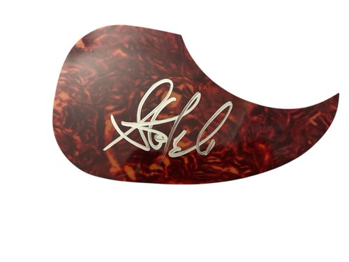 Steven tyler hand signed - steven,