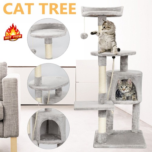 Large cat tree kitten climbing - kitten,