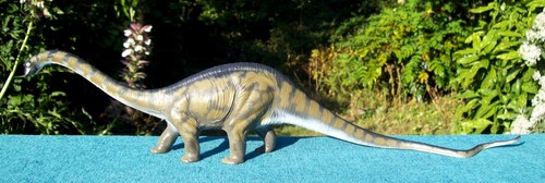 Painted invicta diplodocus - painted,