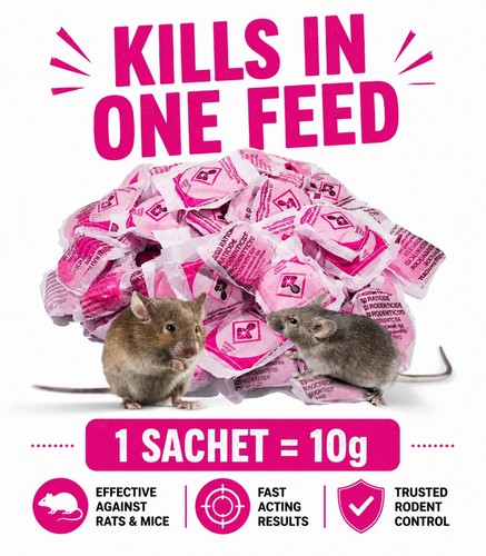 Super strong ratimor rat - strong, &