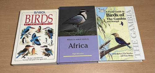 Birdwatching the gambia - birdwatching,