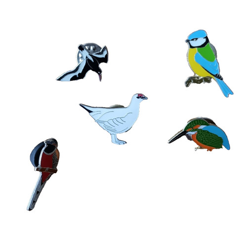 Birds rspb pin - rspb,