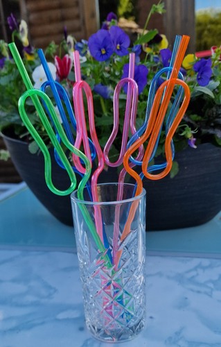Reuseable willy straws pack - straws,