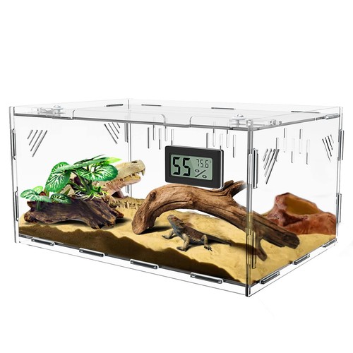 Reptile terrariums with - reptile,