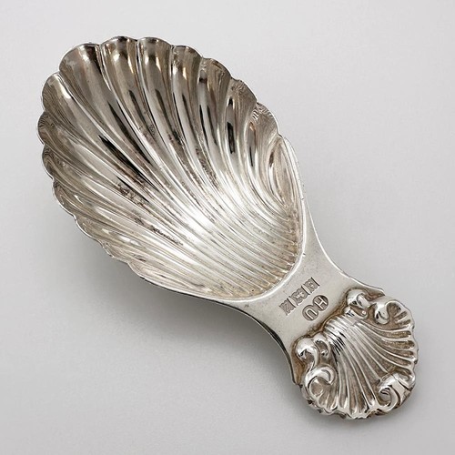 Vintage shell caddy spoon - shell,
