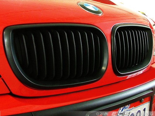 Front grille hood kidney - grille,