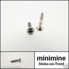 Classic Mini Headlight Retaining Ring Screws Stainless Steel PAIR lamp cooper LE