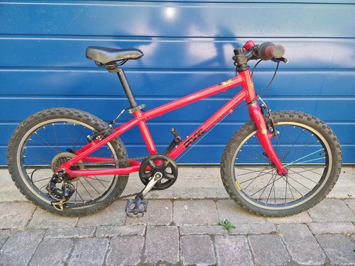 Frog child bicycle - frog,