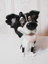 AURORA LITTLE PAWS BORDER